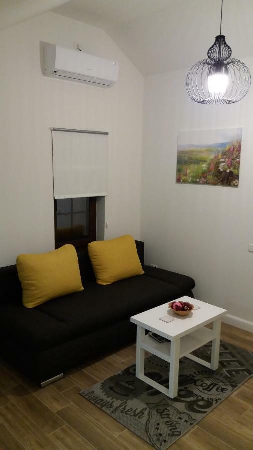 Enjoy Apartment 티미쇼아라 외부 사진